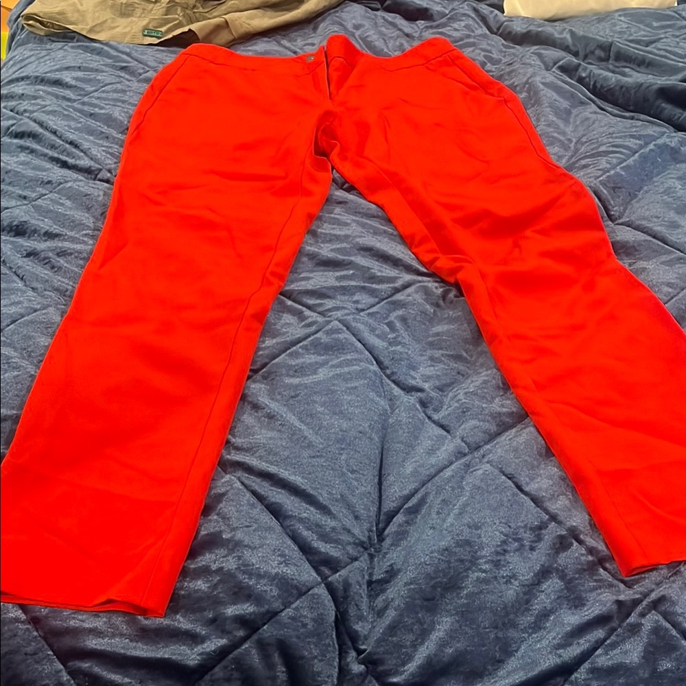 Vince Camuto Red Women's Trousers